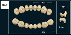 Стоматорг - Зубы Yeti D2 SLA жевательный верх (Tribos) 8 шт.