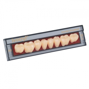 Стоматорг - Зубы Ivocryl Набор из 8 зубов A-D жеват.низ. 31 A3.5.         