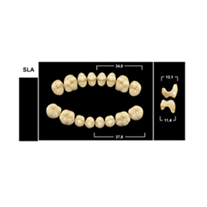 Стоматорг - Зубы Yeti A2 SLA жевательный верх (Tribos) 8 шт.