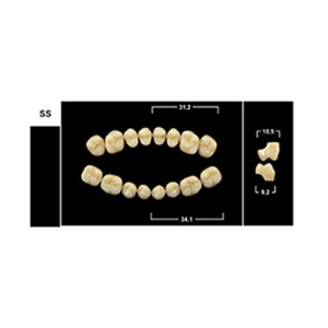 Стоматорг - Зубы Yeti C1 SS жевательный низ (Tribos) 8 шт.