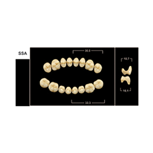 Стоматорг - Зубы Yeti A3,5 SSA жевательный низ (Tribos) 8 шт.