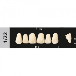 Стоматорг - Зубы Major D3  1/22 фронтальный верх, 6 шт (Super Lux)