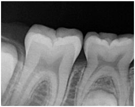Детская стоматология.jpg