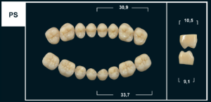 Стоматорг - Зубы Yeti C3 PS жевательный верх (Tribos) 8 шт.