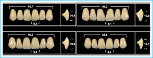 Стоматорг - Зубы Yeti D4 VR11 фронтальный верх (Tribos) 6 шт. 