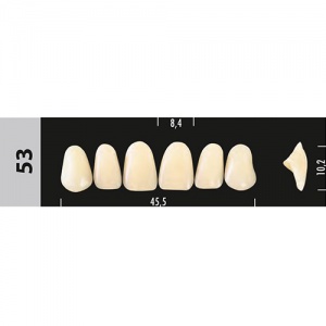 Стоматорг - Зубы Major C2  53 фронтальный верх, 6 шт (Super Lux)
