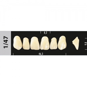 Стоматорг - Зубы Major A2 1/47, 28 шт (Super Lux).