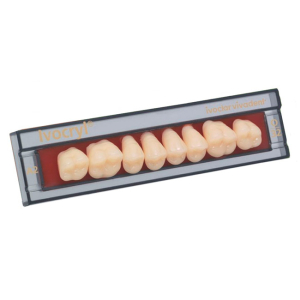 Стоматорг - Зубы Ivocryl Набор из 8 зубов A-D жев.верх. 32 B1.
