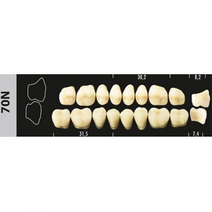 Стоматорг - Зубы Major A1 70N жевательный верх, 8 шт (Super Lux).