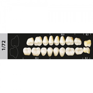 Стоматорг - Зубы Major A2 1/72 жевательный низ, 8 шт (Super Lux).