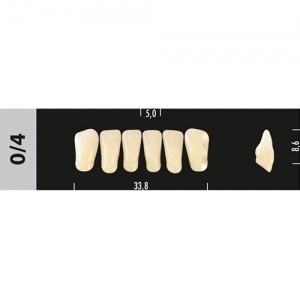 Стоматорг - Зубы Major C1 0/4 фронтальный низ, 6 шт (Super Lux)