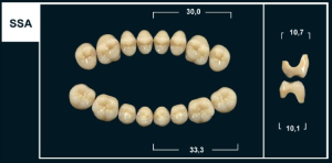 Стоматорг - Зубы Yeti C1 SSA жевательный низ (Tribos) 8 шт.
